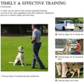 Miniatyrbild 3 av 4: Kollier Anti-Bark, Vattentålig uppladdningsbar anti-skäll collar, Träningshalsband för hund med vibrationsläge och läge C