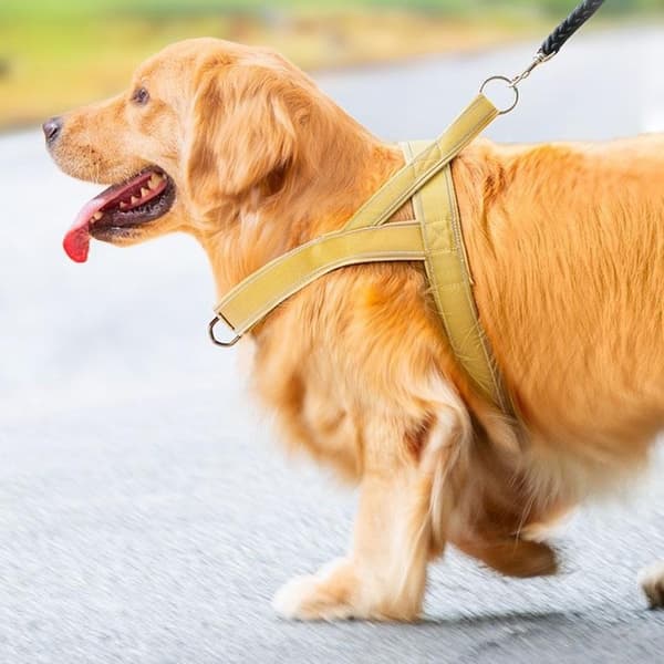 Taktisk sele med håndtak for hundetrening og turgåing, størrelse M