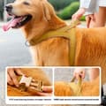 Miniatyrbilde 5 av 11: Taktisk sele med håndtak for hundetrening og turgåing, størrelse XL