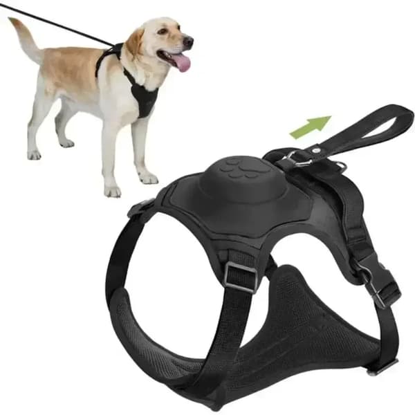 Hundesele, Justerbar Pasform, Behageligt Materiale, Personligt Design,M, Sort