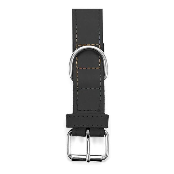 Hundhalsband Gloria Oasis Svart (1,2 x 35 cm)