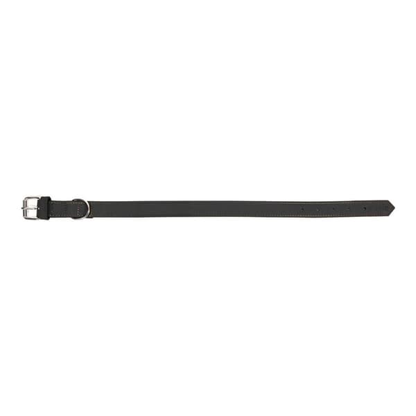 Hundhalsband Gloria Oasis Svart (1,2 x 35 cm)