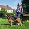 Miniatyrbild 4 av 5: Hundhalsband Hunter Swiss Brun Svart M 55 cm
