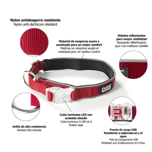 Hundhalsband Dog Gone Smart Röd 20 Ljus