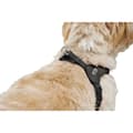 Miniatyrbild 6 av 6: Hundsele Hunter SOHO MINI Svart