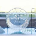 Miniatyrbild 5 av 6: Bur Ferplast