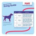 Miniatyrbillede 7 af 10: Hundesele Company of Animals Halti Sort/Rød Størrelse S (36-64 cm)