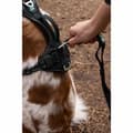 Miniatyrbillede 3 af 6: Hundesele SYMBIOZ Sort S