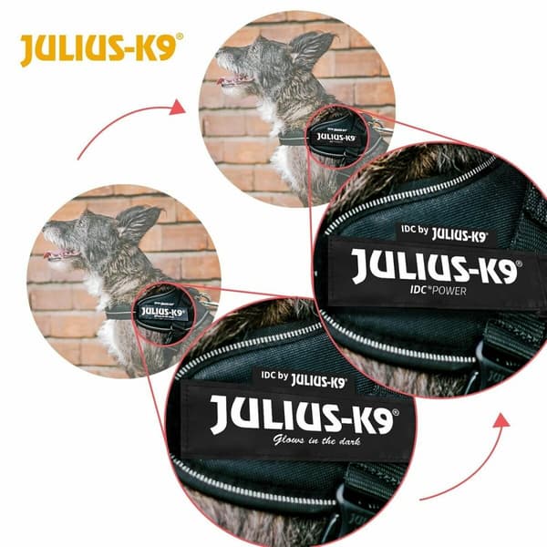 Hundesele Julius K9 IDC Rød