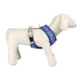 Miniatyrbillede 10 af 11: Hundesele Stitch S/M Mørkeblå