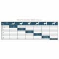 Miniatyrbillede 4 af 4: Hundesele Hunter Sort 37-42 cm Antracit XS/S