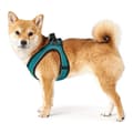 Miniatyrbillede 4 af 10: Hundesele Hunter Hilo Comfort 55-60 cm Størrelse M Turkisblå