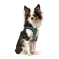 Miniatyrbillede 8 af 10: Hundesele Hunter Hilo Comfort 55-60 cm Størrelse M Turkisblå
