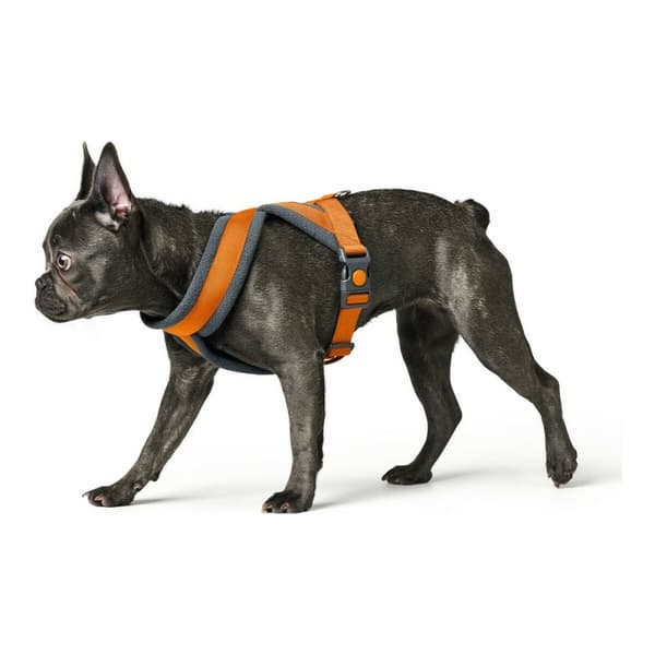 Koiran valjaat Hunter London Comfort 48-56 cm Oranssi Koko S/M