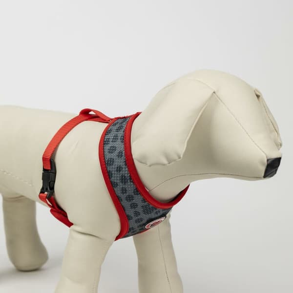 Hundsele Minnie Mouse XS/S Röd