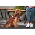 Miniatyrbillede 4 af 4: Hundesele Red Dingo Dingo 62-108 cm 72-112 cm Lilla XL