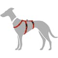 Miniatyrbillede 4 af 5: Hundesele Hunter 48-70 cm Rød S/M 36-51 cm