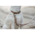 Miniatyrbillede 4 af 5: Hundehalsbånd Hunter Inari Beige XL 45-65 cm