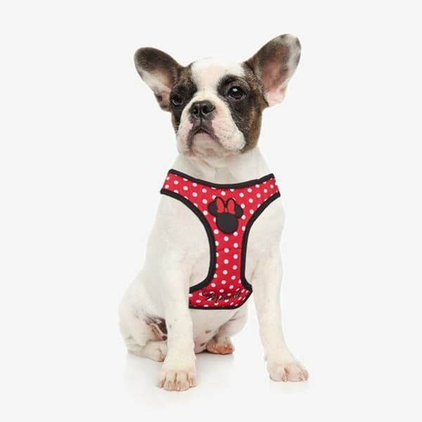 Hundesele Minnie Mouse Rød