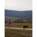 Miniatyrbillede 3 af 6: Hundesele SYMBIOZ Sort L