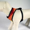 Miniatyrbillede 6 af 6: Hundesele Disney M/L