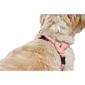 Miniatyrbillede 7 af 7: Hundesele Hunter SOHO MINI Pink XXS/XS