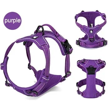 Koira-valjaat, pehmustetut, heijastavat,violetti, M 56-69cm