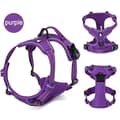 Pikkukuva 2 / 2: Koira-valjaat, pehmustetut, heijastavat,violetti, M  56-69cm