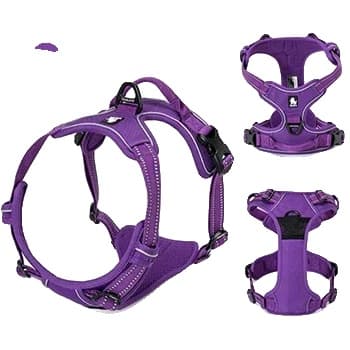 Koira-valjaat, pehmustetut, heijastavat,violetti, M 56-69cm