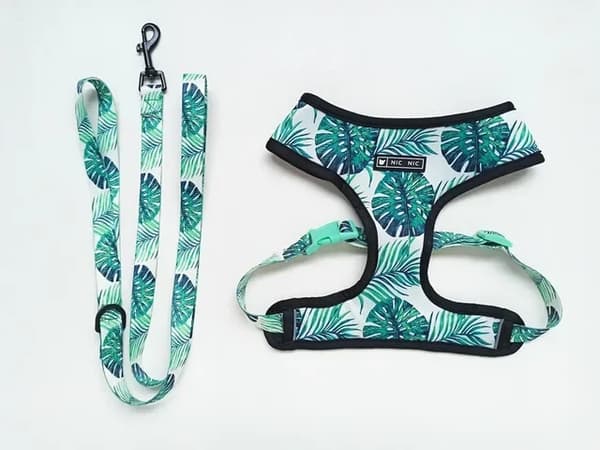 Hundesele Snor Sæt, Åndbart Mesh, Hurtig Udløsning,M Bryst 32-56CM, Seler Leash Sæt E