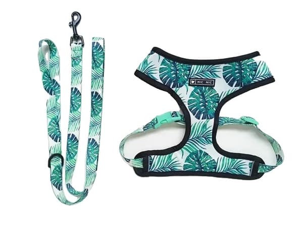 Hundesele Snor Sæt, Åndbart Mesh, Hurtig Udløsning,M Bryst 32-56CM, Seler Leash Sæt E
