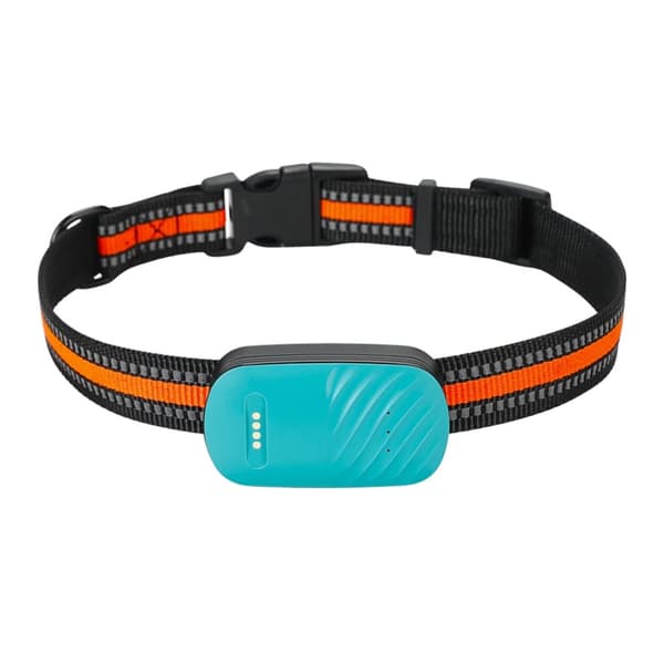 Pet GPS Tracker, Real-Time Positionering, Holdbar Vandtæt Design,Grøn