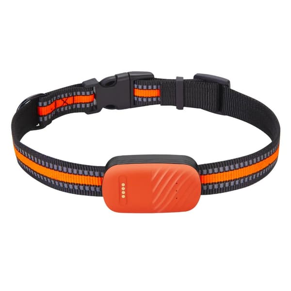 Pet GPS Tracker, Real-Time Positionering, Holdbar Vandtæt Design,Appelsin