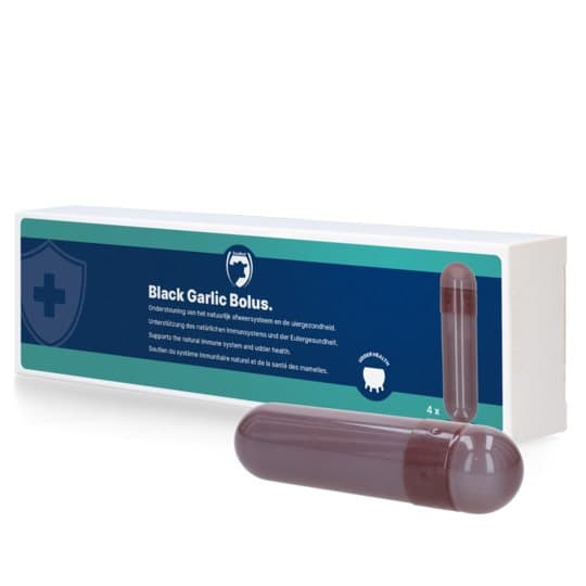 Black Garlic Bolus Beef - edistää luonnollista immuunijärjestelmää