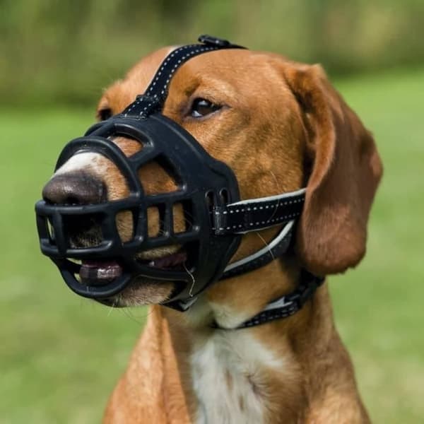 TRIXIE Muzzle Flex Nozzle - Gummi - Storlek L - Svart
