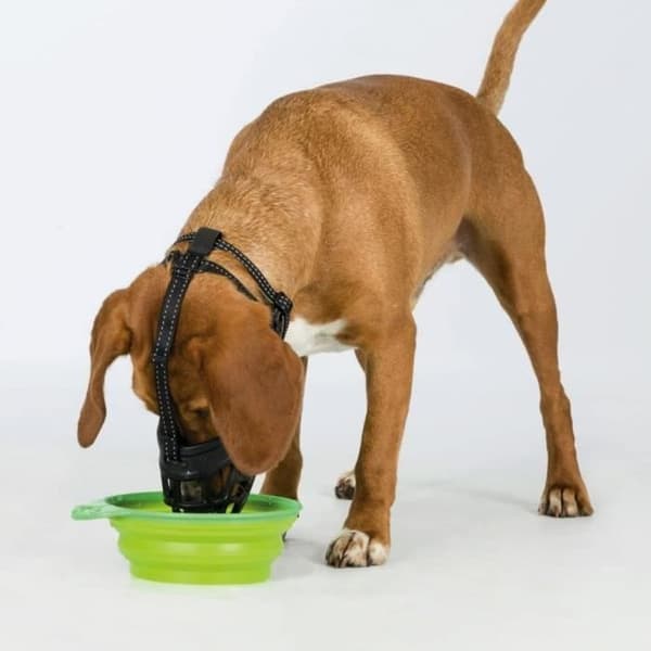 TRIXIE Muzzle Flex Nozzle - Gummi - Storlek L - Svart