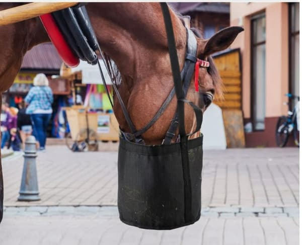 INF Justerbar hestefôrpose med nakkestropp