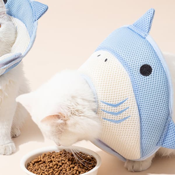 INF Blue Shark Pet Cone Halsband för katter och hundar 0