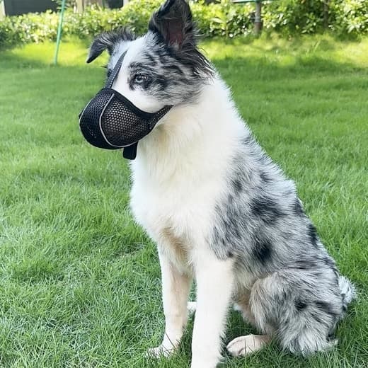 Justerbar hundemunding – åndbar, reflekterende