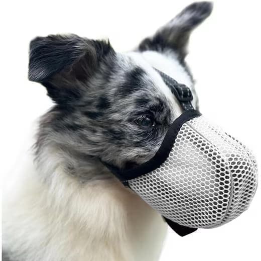 Justerbar hundemunding – åndbar, reflekterende