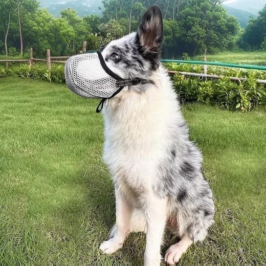 Justerbar hundemunding – åndbar, reflekterende