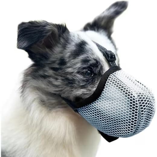 Justerbar hundemunding – åndbar, reflekterende