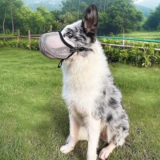Justerbar hundemunding – åndbar, reflekterende