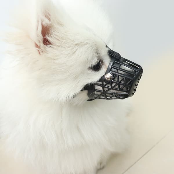 INF Svart Hundekurv - Størrelse 3 (5-7.5kg) - Anti-Bite & Pustende