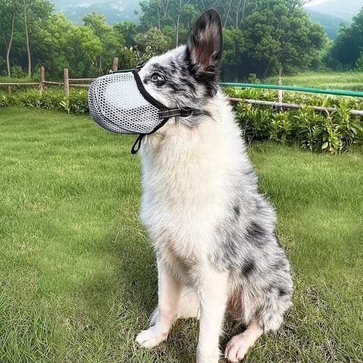 Justerbar mundkurv til hunde – åndbar og reflekterende hundemunding