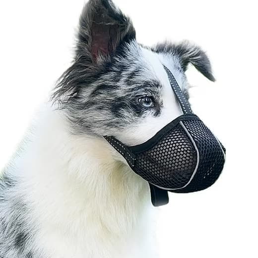 Justerbar mundkurv til hunde – åndbar og reflekterende hundemunding