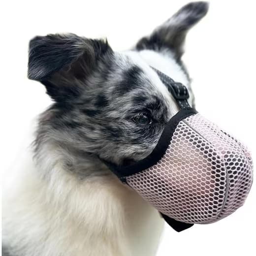 Justerbar mundkurv til hunde – åndbar og reflekterende hundemunding