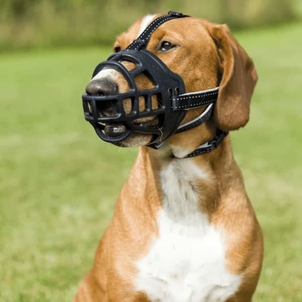 TRIXIE Muzzle Flex Møbel - Gummi - Størrelse M/L - Sort