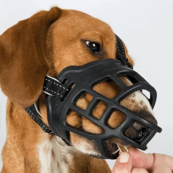 TRIXIE Muzzle Flex Møbel - Gummi - Størrelse M/L - Sort