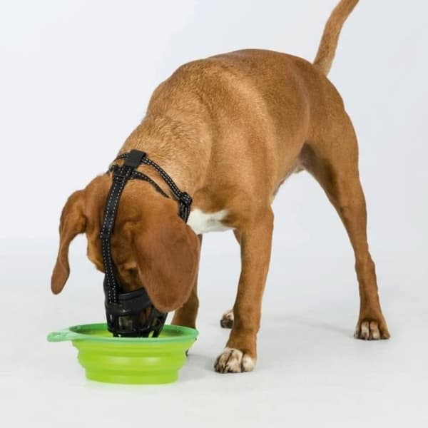 TRIXIE Muzzle Flex Møbel - Gummi - Størrelse M/L - Sort